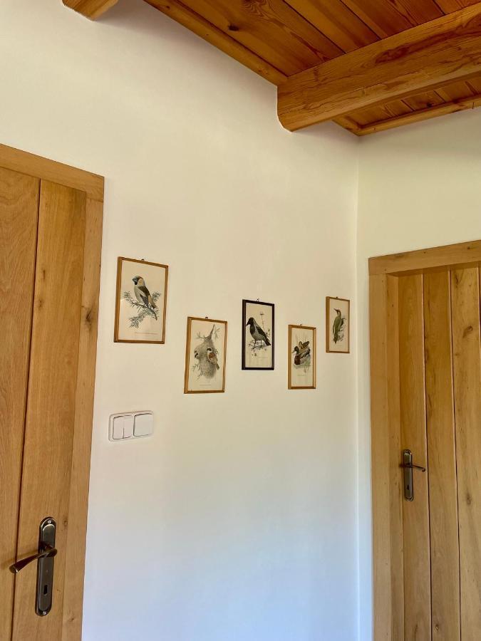 Drozdi Hnizdo Apartment Horni Breckov Exterior foto